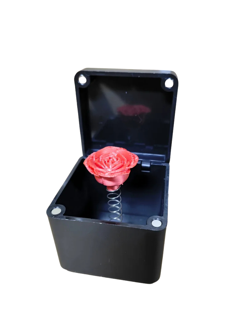 FjordFun – Das Geschenk mit Überraschungseffekt