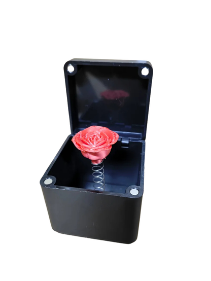 FjordFun – Das Geschenk mit Überraschungseffekt