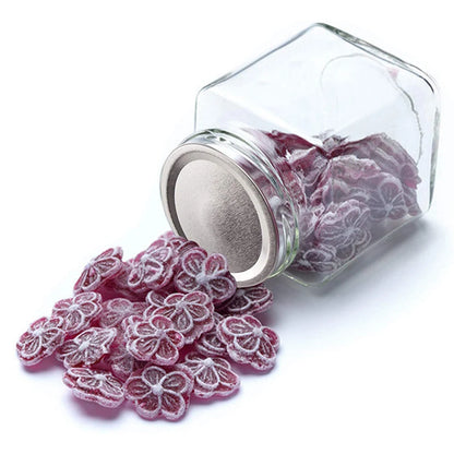 GlasVakuum Pro Deckel – Ersatzdeckel für perfekte Frische